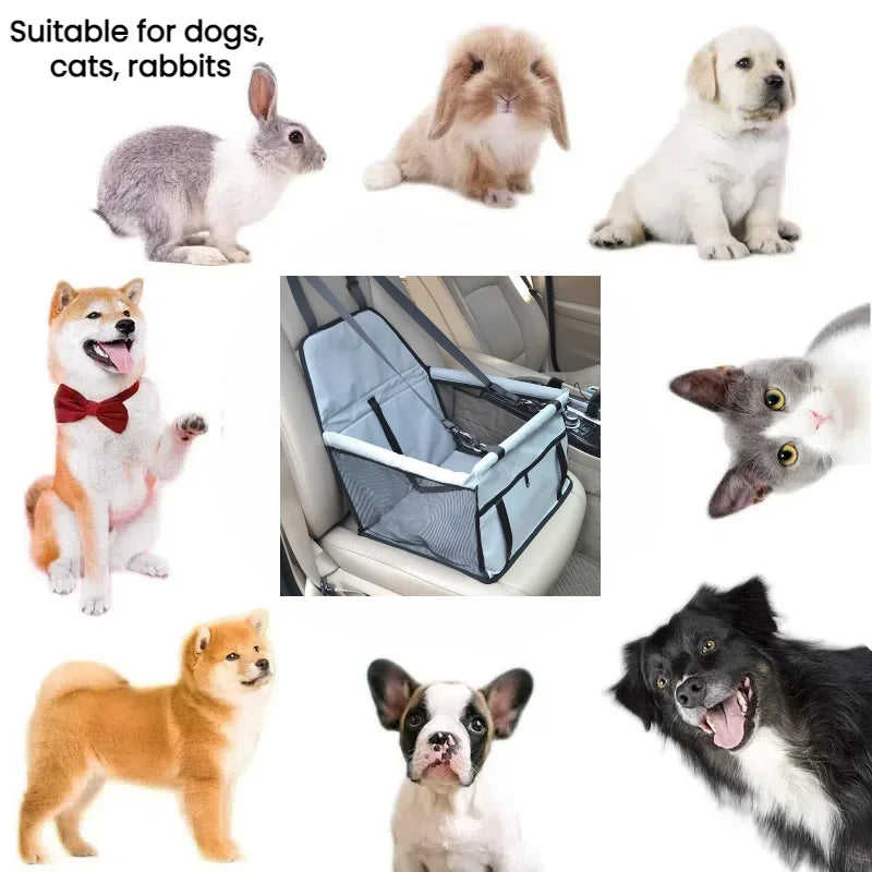 Silla de Seguridad para Mascotas – Viajes Cómodos y Seguros
